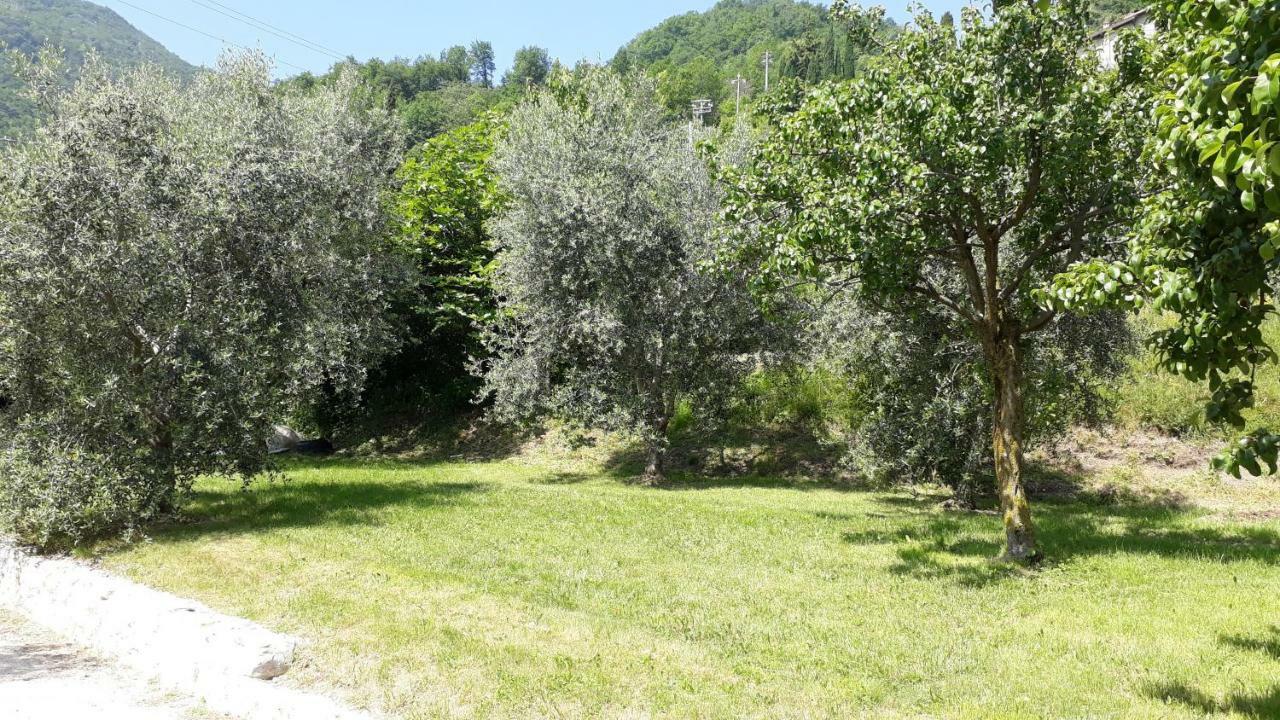 Вилла Casa Gina Garden And View By Gardadomusmea Tremosine Экстерьер фото